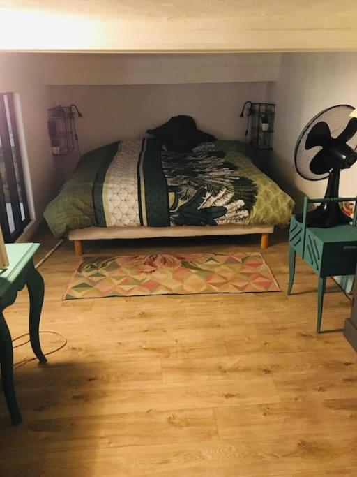 Loft D Artistes Avec Patio Au Port De Nizza