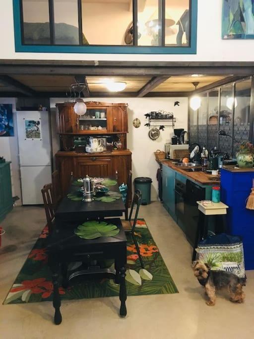 Loft D Artistes Avec Patio Au Port De * Nizza