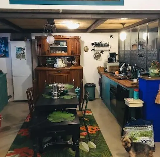 Loft D Artistes Avec Patio Au Port De Nice